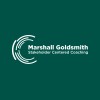 Marshall Goldsmith Stakeholder Centered Coaching